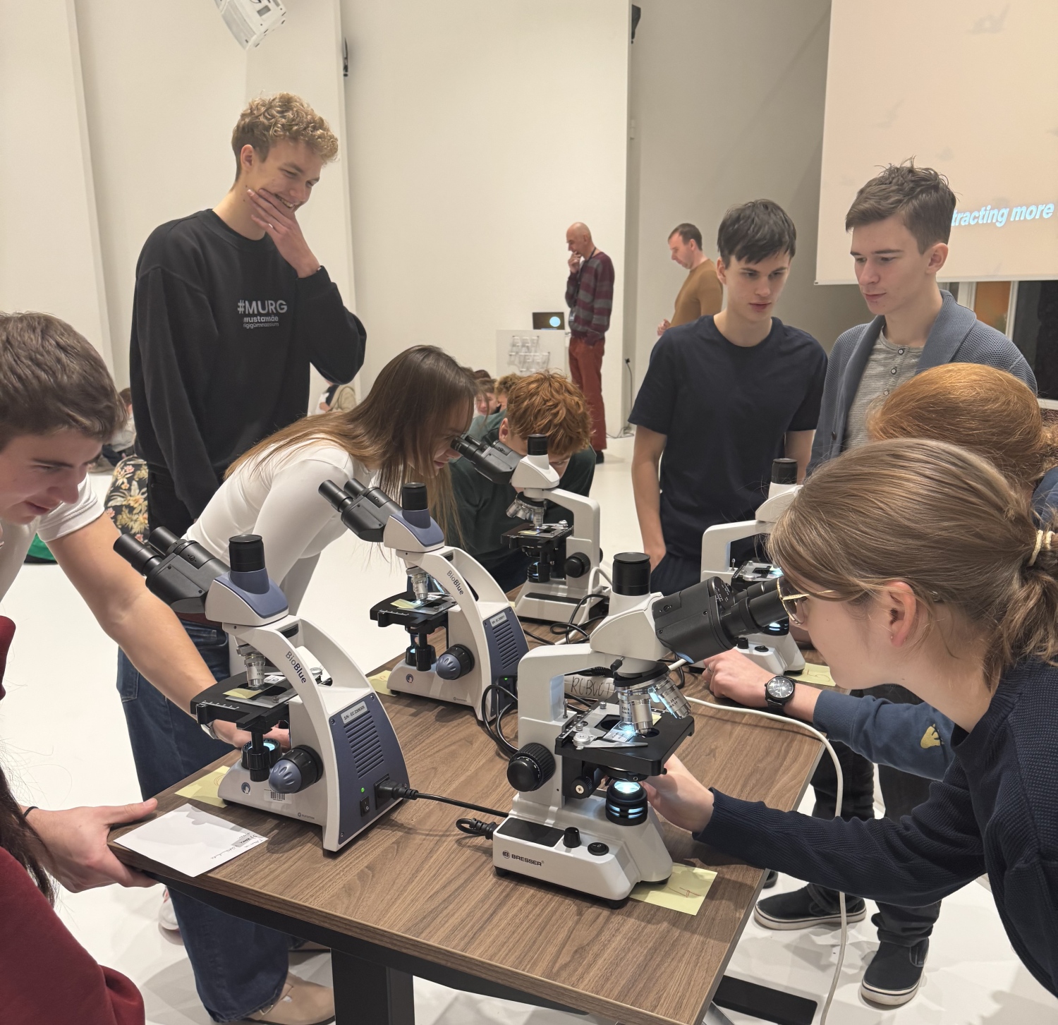 Mikroskoopidega määramine MURG Karikal